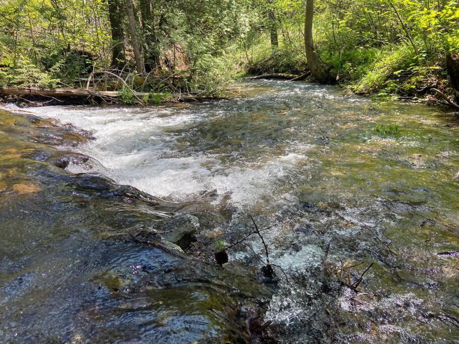 Cedar Creek! Privacy, Quick Walk To The * East Orange