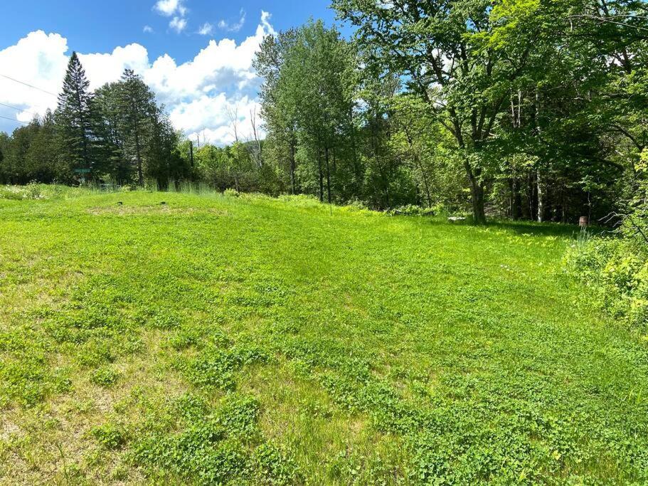 Holiday home Cedar Creek! Privacy, Quick Walk To The